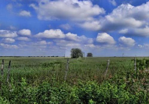 Terreno en venta  El Fraile, Montemorelos, Nuevo León.