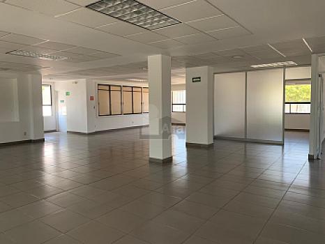 Edificio de oficinas Corporativas en Renta en Zona Indistrial