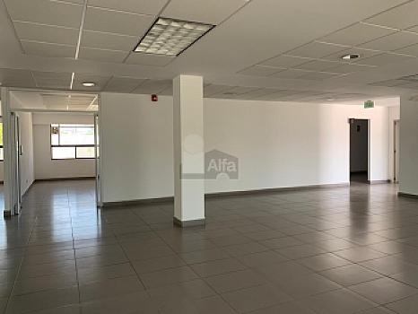 Edificio de oficinas Corporativas en Renta en Zona Indistrial