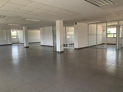 Edificio de oficinas Corporativas en Renta en Zona Indistrial