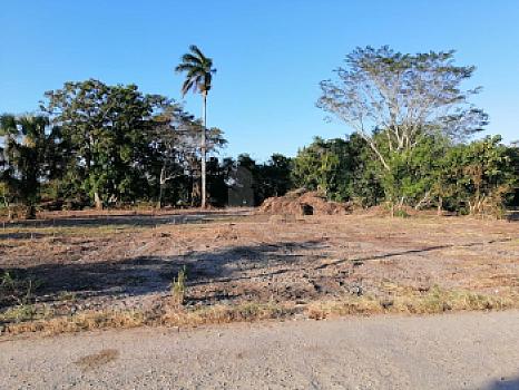 Property view 2