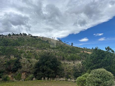 Terreno en Venta Guadalupe Victoria, Pue.