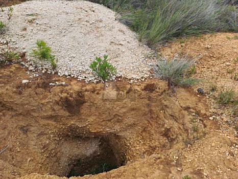 Terreno en Venta Guadalupe Victoria, Pue.