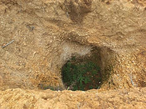 Terreno en Venta Guadalupe Victoria, Pue.