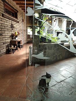 Finca en Venta (casa ecológica), cerca de Morelia, Mich.