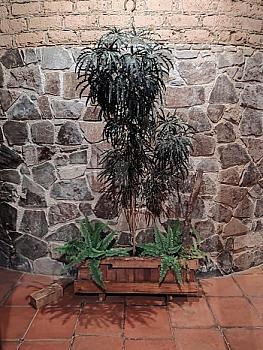 Finca en Venta (casa ecológica), cerca de Morelia, Mich.