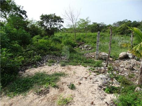 Terreno en Venta en Mérida Yucatán por Autódromo