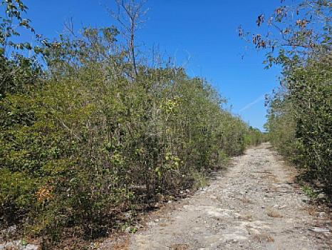 Terreno en Venta en Mérida Yucatán por Autódromo