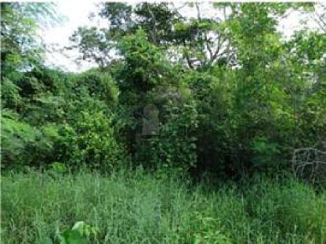 Terreno en Venta en Mérida Yucatán por Autódromo