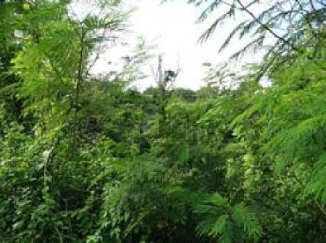 Terreno en Venta en Mérida Yucatán por Autódromo