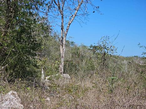 Terreno en Venta en Mérida Yucatán por Autódromo
