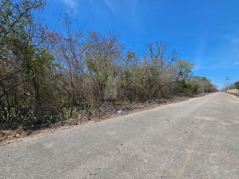 Property view 5