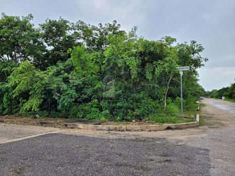 Property view 4