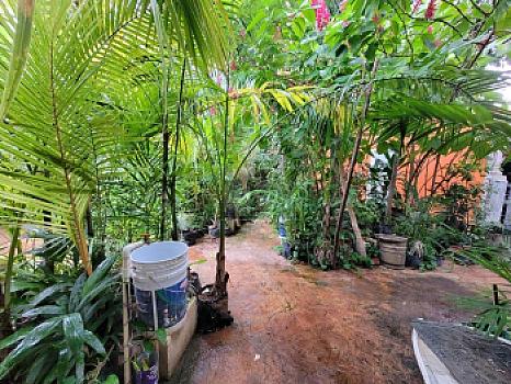 Casa en Venta en Esquina en Colonia Maya, Mérida, Yucatán