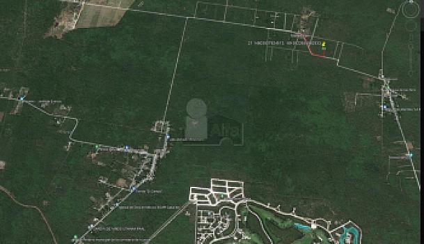 Terreno habitacional en Misnebalam, superficie de 975m2, con frente de 30m, ideal proyecto turisco