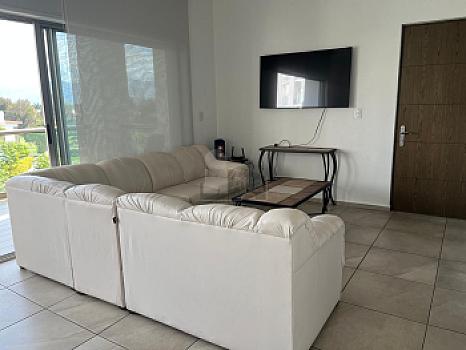 Property view 4