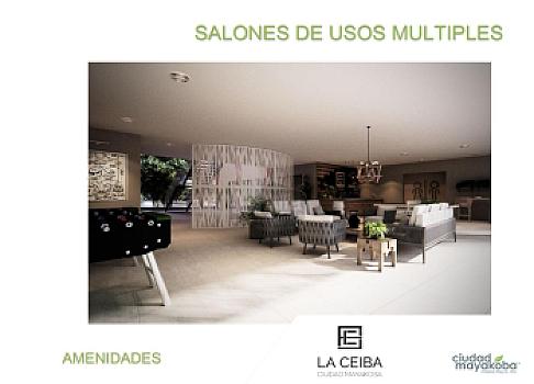 Property view 5