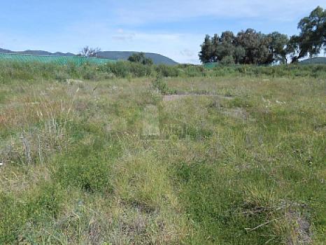Casa semiterminada de cantera en Venta con 12,700 m2 de terreno en San Javier Tolcayuca, Hidalgo.