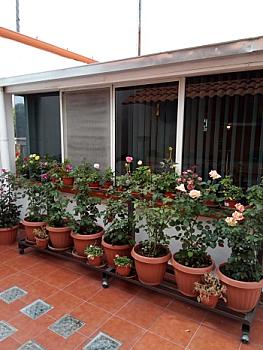 Casa en Venta en Santiago Cuautlalpan, Texcoco, Estado de México.
