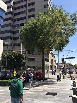 Office for rent Av. Juárez one block from Fuente de los Frailes. Col. La Paz. Puebla, Pue.