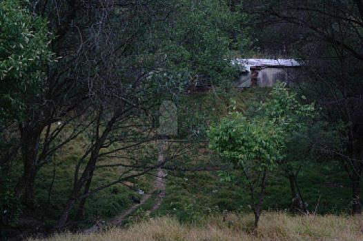 Property view 5