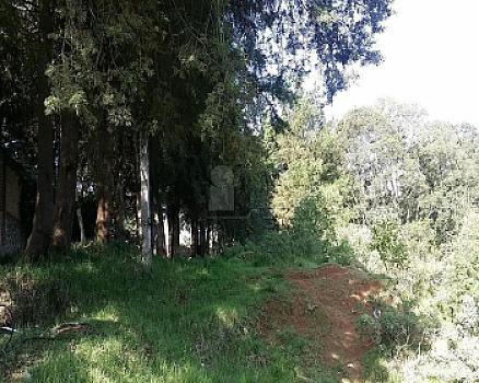 Property view 5