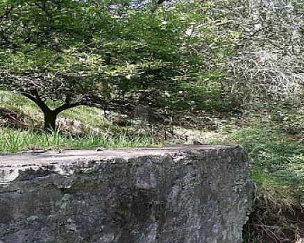 Terreno en Venta en Col Santa Maria Magdalena, Nicolas Romero, Estado de Mexico.