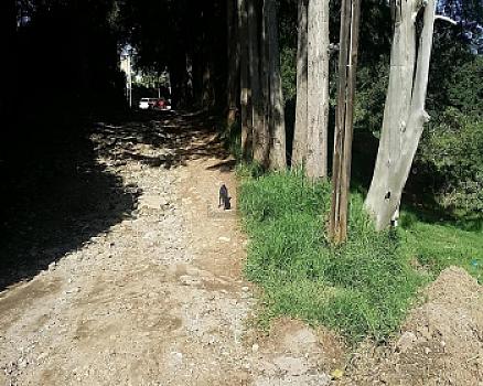 Terreno en Venta en Col Santa Maria Magdalena, Nicolas Romero, Estado de Mexico.