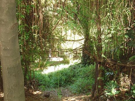 Property view 4