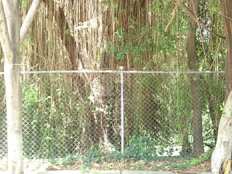 Terreno en venta en Rivera del Atoyac Puebla, Pue.