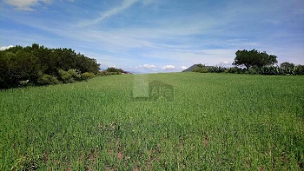 Terreno en Venta en Colonia Santo Tomas, Municipio de Zempoala, Hidalgo.