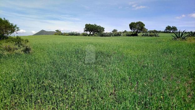 Property view 3