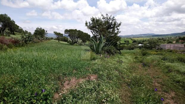 Terreno en Venta en Colonia Santo Tomas, Municipio de Zempoala, Hidalgo.