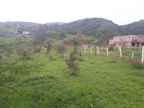 Property view 5