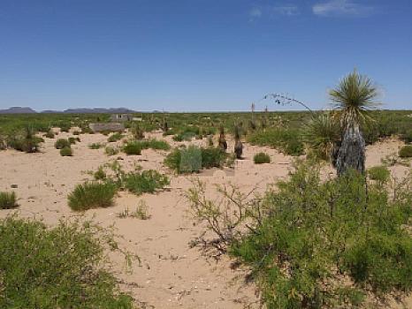 Property view 5