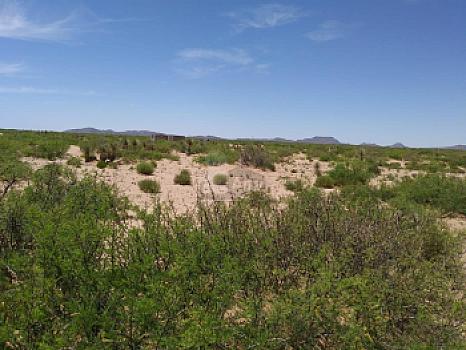 Terreno habitacional en sale en Plazuela de Acuña, Juárez, Chihuahua
