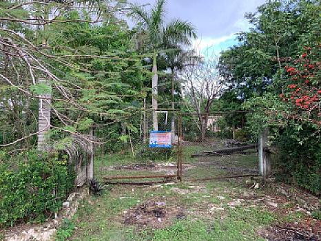 Property view 3