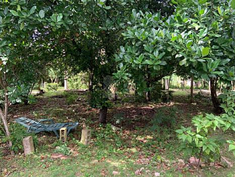 Terreno en Venta en Bonfil, Cancun Quintana Roo  