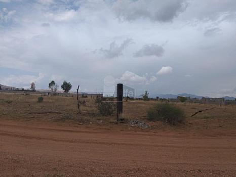 Property view 4