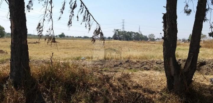 Terreno urbano en Venta, en San Diego, Texcoco, Estado de México.