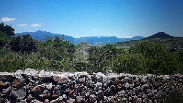 Terreno de 3.15 Hectáreas en Venta en La Solana, completamente bardeado. OPORTUNIDAD baja de precio