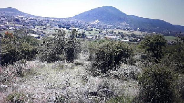 Terreno de 3.15 Hectáreas en Venta en La Solana, completamente bardeado. OPORTUNIDAD baja de precio