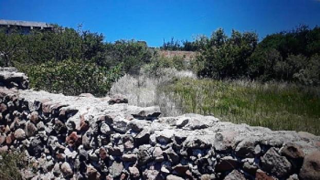 Terreno de 3.15 Hectáreas en Venta en La Solana, completamente bardeado. OPORTUNIDAD baja de precio