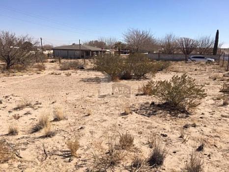 Property view 5