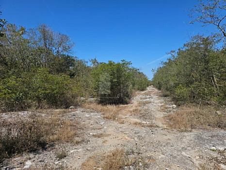 Terreno en Venta en Mérida Yucatán por Autódromo