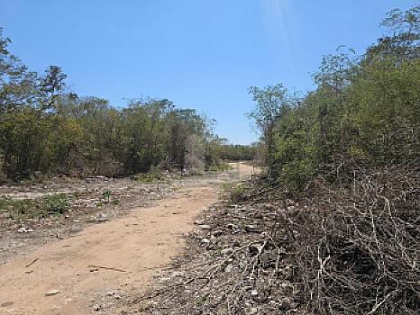 Terreno en Venta en Mérida Yucatán por Autódromo