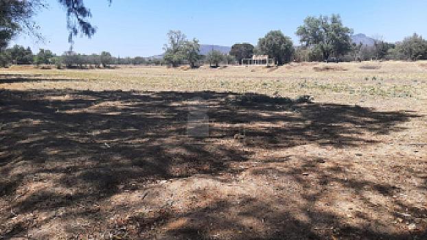 Property view 4