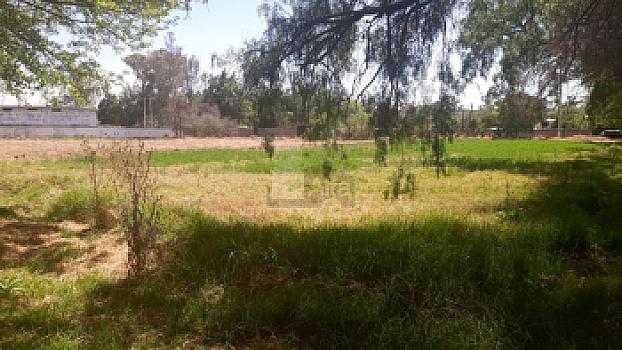 Property view 4