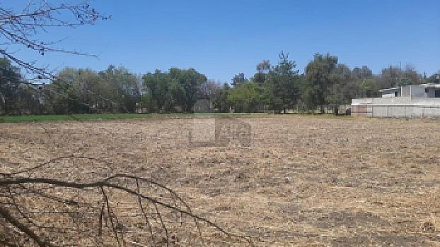 Property view 5