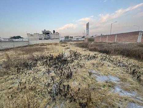 Terreno en venta o renta en Av. M.J. Clouthier, Barrio Coaxustenco, Metepec. Cerca de Town Square